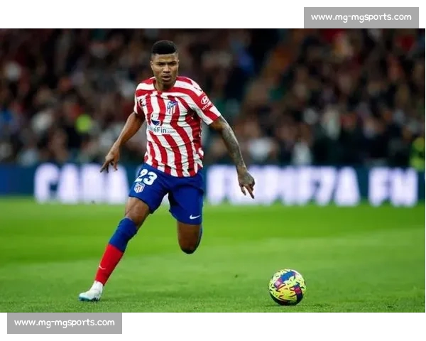 马竞官宣雷尼尔多离队:31 岁后卫合同到期加盟桑德兰 马竞官宣雷尼尔多离队:31 岁后卫合同到期加盟桑德兰